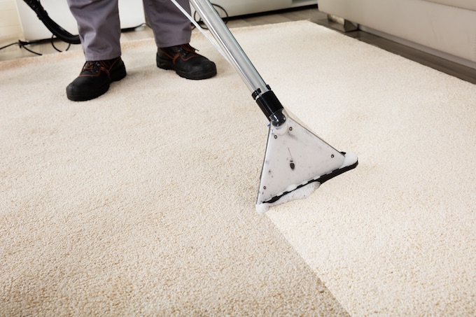 carpets getting cleaned by Flippin Cleaners